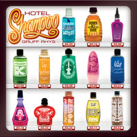 Take A Sentence - Gruff Rhys