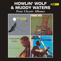 I've Got My Mojo Working, Pt. 2 - Muddy Waters