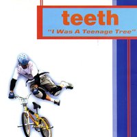 We Are The Same - Teeth