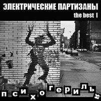 Степной волк - Электропартизаны