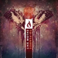 No King - Like Moths To Flames