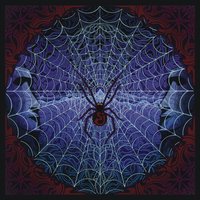 Come Together - The String Cheese Incident