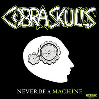 Lost In Campaigns - Cobra Skulls