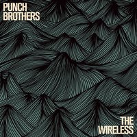 Sleek White Baby - Punch Brothers