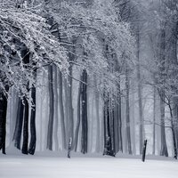 The Wonders of Christmas - Childrens Christmas Favourites, Xmas Music, Christmas Cafe