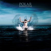 Black Days - Polar.