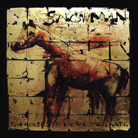 Diamond Wounds - Snowman
