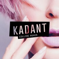 Kadant