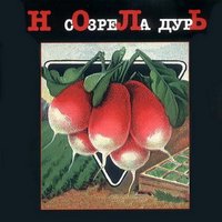 Безобразия - Ноль