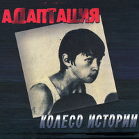 Анархия - Адаптация