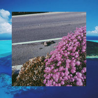 Real - High Sunn