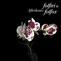 Noi Non Faremo Niente - Afterhours
