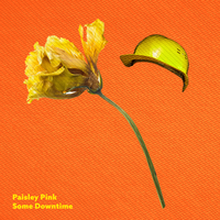 Whatever Story You're In - Paisley Pink, Naiad