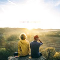 Elephant Parade - Relient K