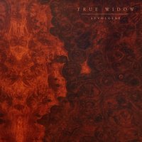 What Finds Me - True Widow