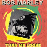 Run for Cover - Bob Marley