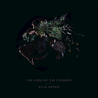 Whispers - Ayla Nereo