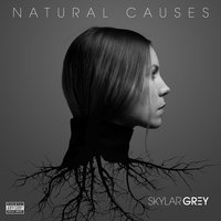 Closer - Skylar Grey