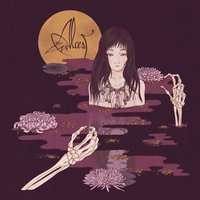 Oiseaux de proie - Alcest