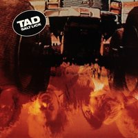 Wood Goblins - Tad
