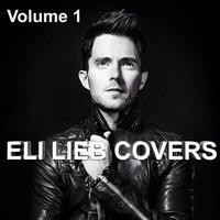 Wrecking Ball - Eli Lieb