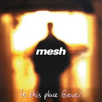 Involved - Mesh