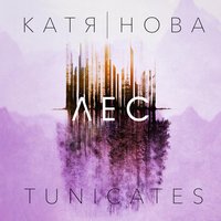 Я не боюсь - Катя Нова, Tunicates