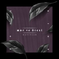 2012 - Mor ve Ötesi
