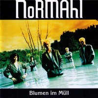 Musiker tragen keine Unterhosen - Normahl