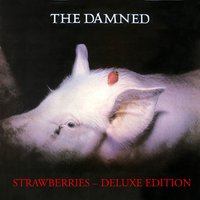 Take That - The Damned