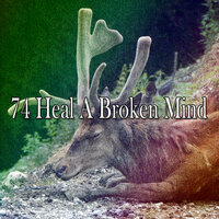 Dream Tonight - Sounds Of Nature Relaxation