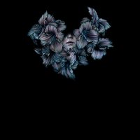Always Burning, Always Dark - A Lot Like Birds
