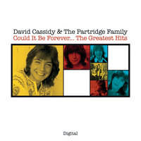 David Cassidy