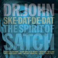 Sometimes I Feel Like a Motherless Child - Dr. John, Anthony Hamilton
