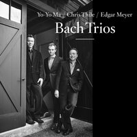 Chris Thile