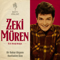 Bir Bahar Akşamı Rastladım Size - Zeki Müren