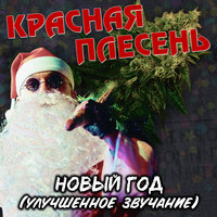 На дэнсе - Красная плесень