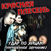 Вместе с гитарой - Красная плесень