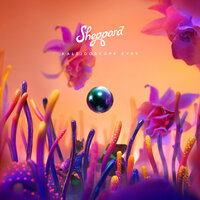 Solid Gold - Sheppard