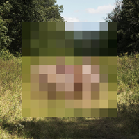 Sun - The Hotelier