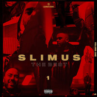 Шум - SLIMUS