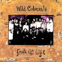 Girl - Wild Colonials