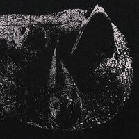 The Triumphal Chariot of Antimony - Demon Head
