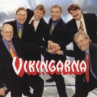 Små nära ting - Vikingarna