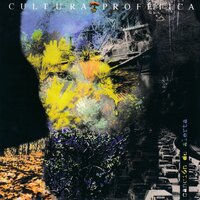 Tempestad Tranquila - Cultura Profética