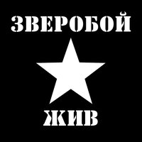 Кто я такой - Зверобой
