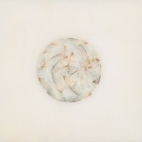 Eight Ball - Lotte Kestner