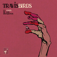 Travis Birds