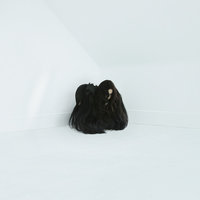 16 Psyche - Chelsea Wolfe