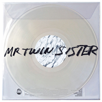 In the House of Yes - Mr Twin Sister
